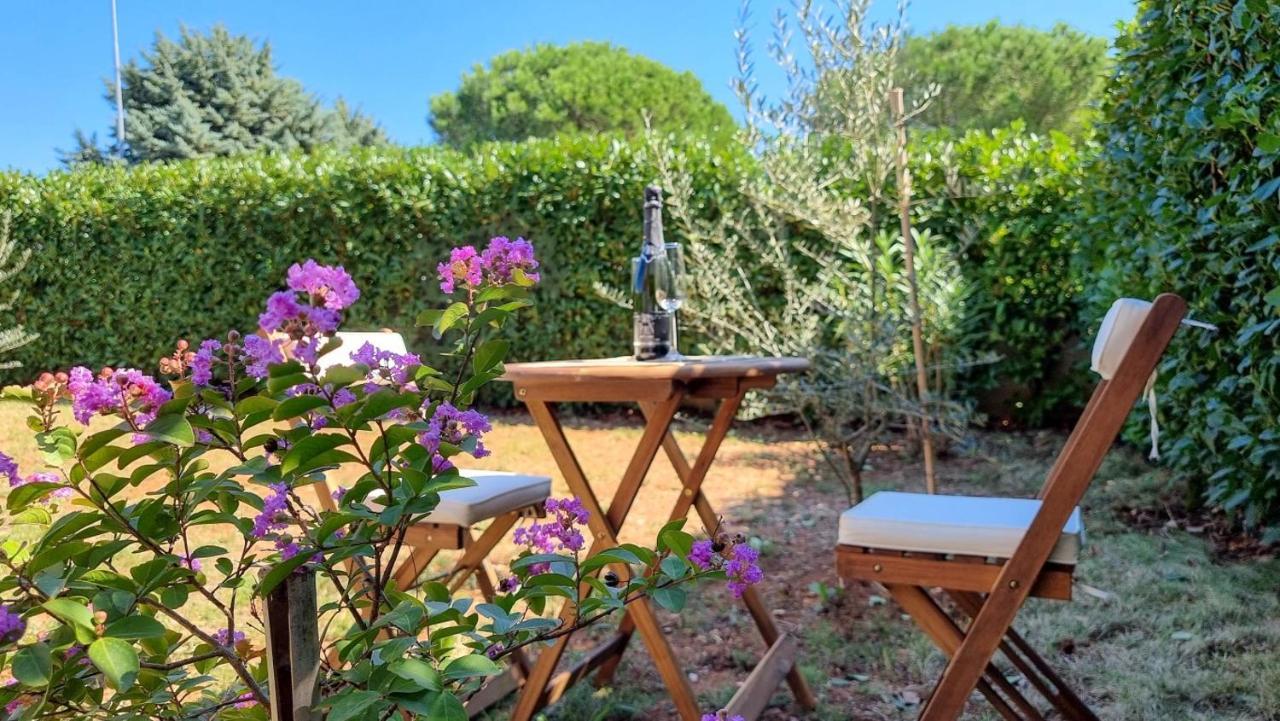 Appartement Lea à Novigrad Istria Extérieur photo
