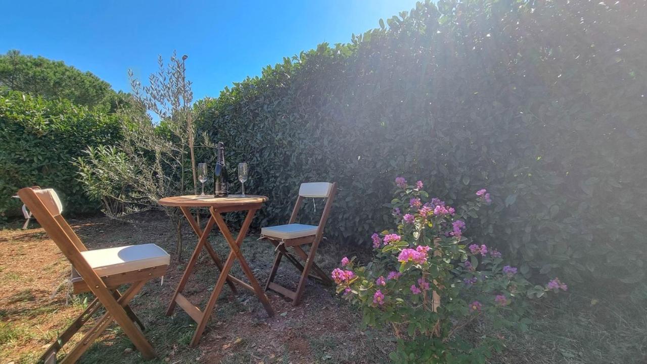 Appartement Lea à Novigrad Istria Extérieur photo